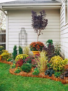 garden corner yard