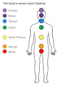 chakras 7 color chart on white