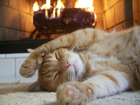 fireplace Benny