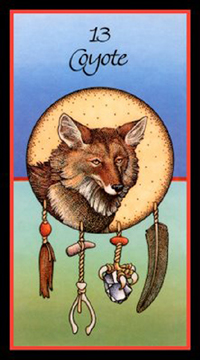 Coyote medicine card