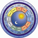 Circadian-Clock from http://www.outsmarthormones.com/2011/03/30/biological-clock-affects-health-weight/