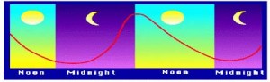 circadian chart