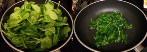 spinach shrinks