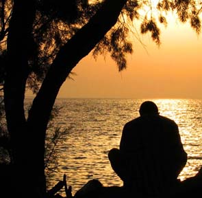 Meditate tree sunset
