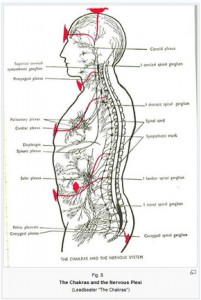 chakras Leadbeater's+nervous+plexi