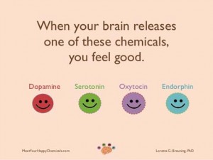 meet-your-happy-chemicals-dopamine-serotonin-endorphin-oxytocin-2-638