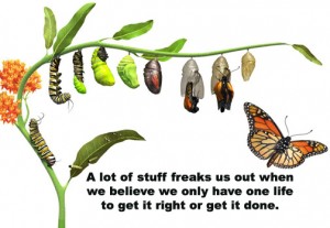 caterpillar to butterfly text
