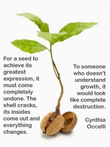 oak seed text