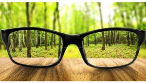 eyeglasses nature